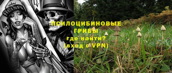 герыч Сосновоборск